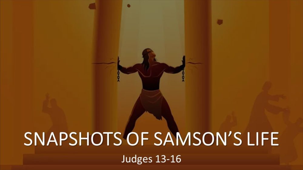 Snapshots of Samson's Life Image