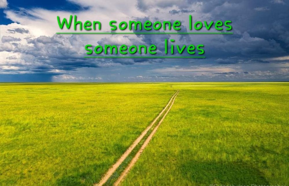When Someone Loves, Someone Lives Image