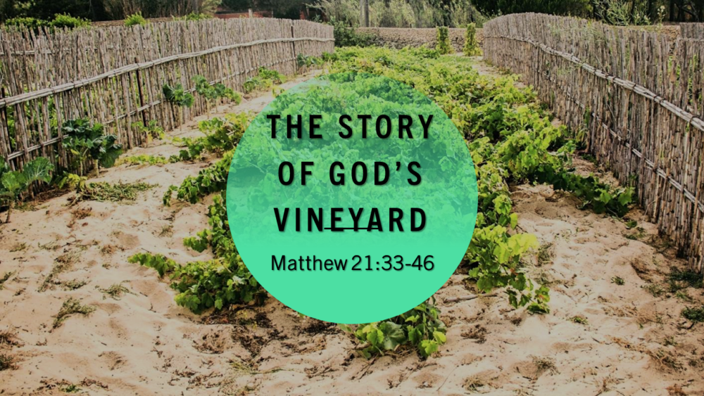 The Story of God’s Vineyard Image