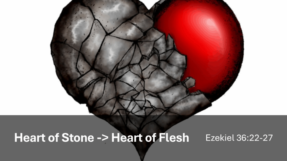 Heart of Stone -> Heart of Flesh Image