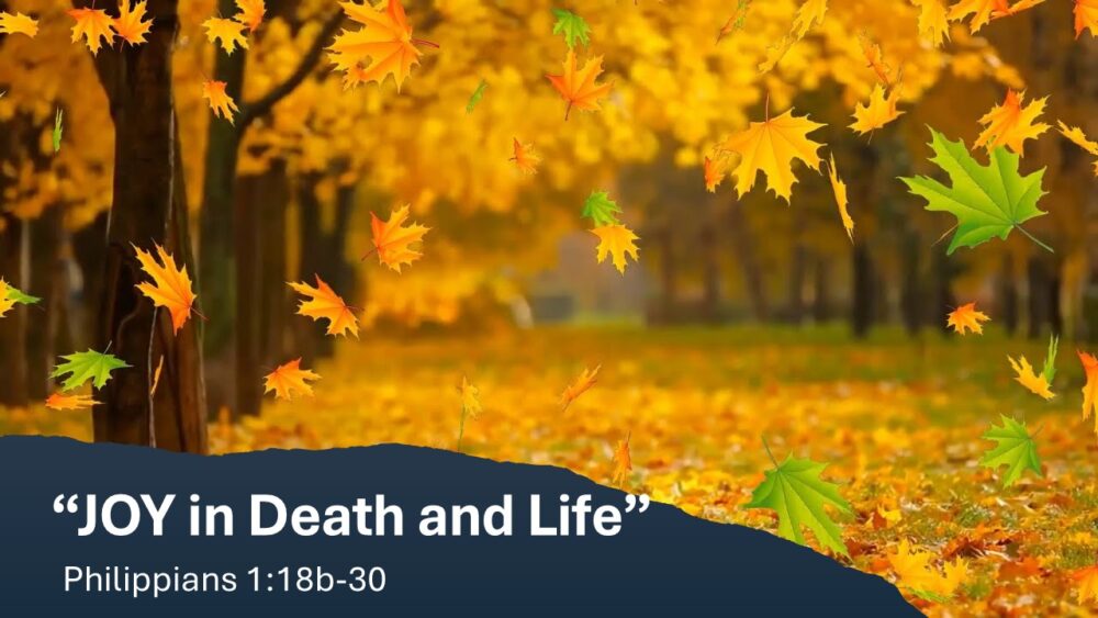 Joy in Death and Life Image