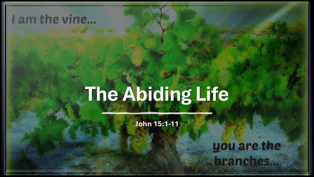 The Abiding Life Image