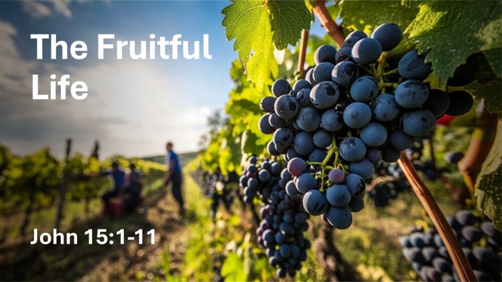 The Fruitful Life Image
