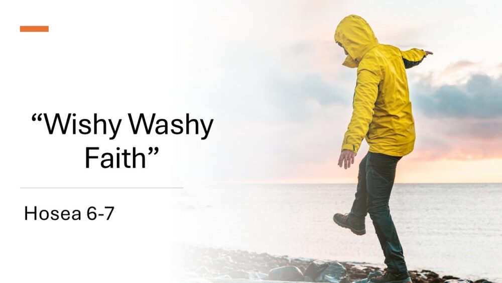 Wishy Washy Faith Image
