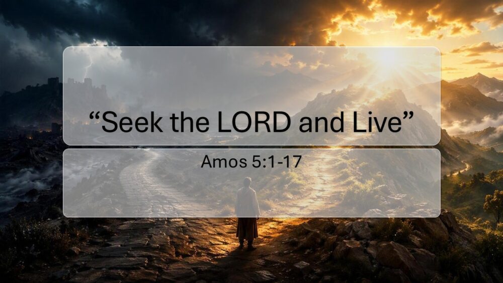 Seek the Lord and Live Image