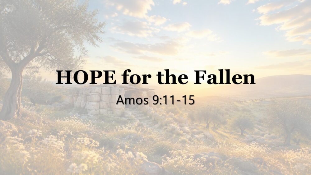 HOPE for the Fallen Image