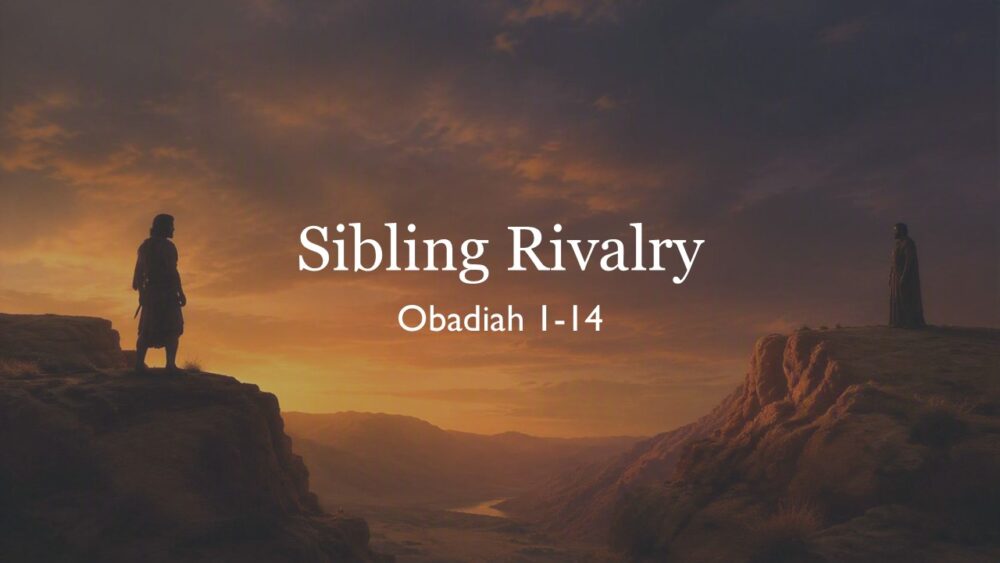 Sibling Rivalry Image
